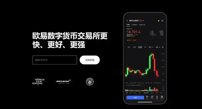 Revoke授权工具页面展示